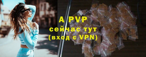 гидра Новозыбков