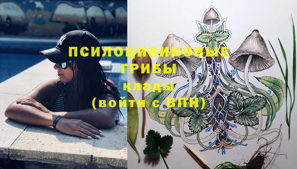 гидра Новозыбков
