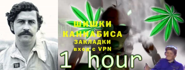 гидра Новозыбков