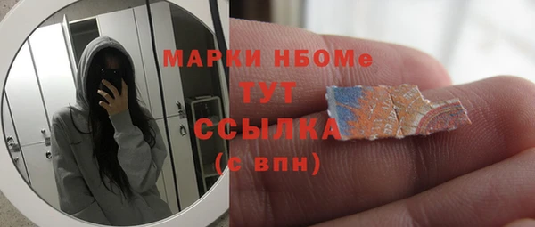 гидра Новозыбков