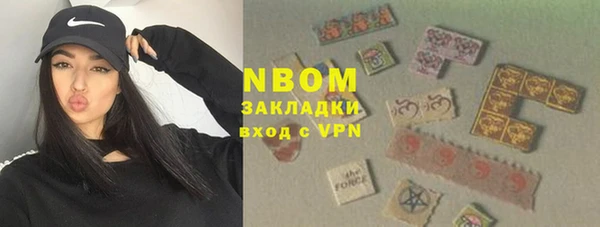 гидра Новозыбков