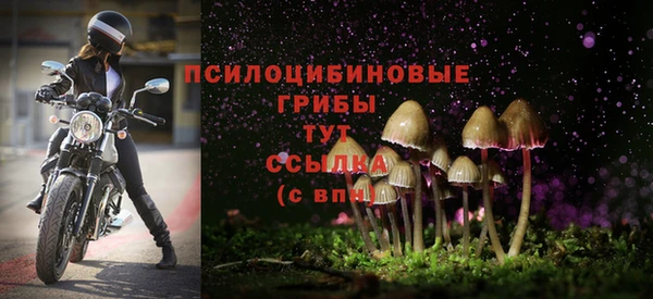 амф Новокубанск