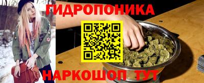 spice Гусиноозёрск