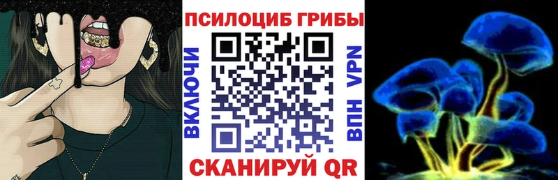 купить   Знаменск  Псилоцибиновые грибы MAGIC MUSHROOMS 