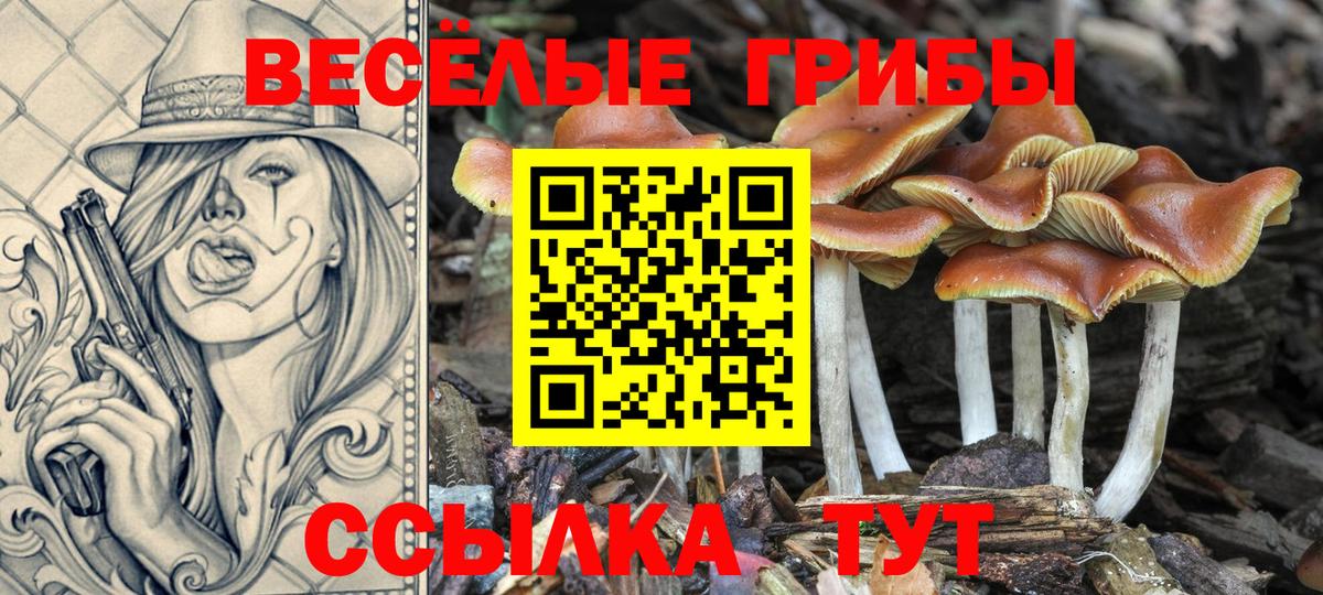 АМФЕТАМИН Знаменск