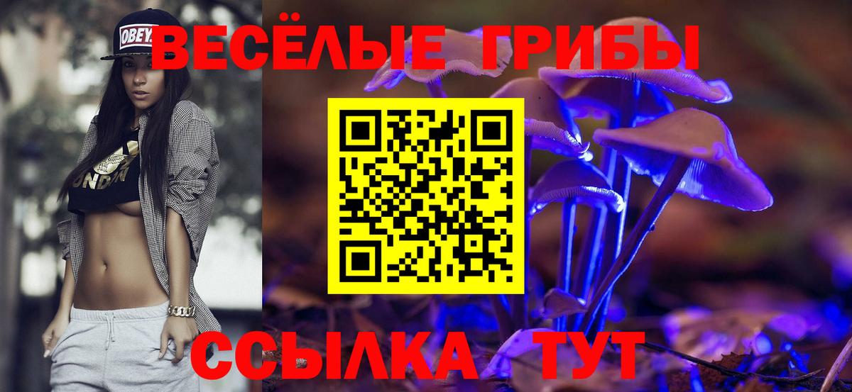 Псилоцибиновые грибы мухоморы  Знаменск  Псилоцибиновые грибы ЛСД 