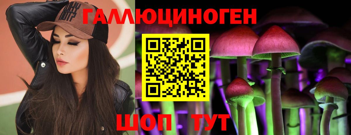 Галлюциногенные грибы MAGIC MUSHROOMS  Псилоцибиновые грибы Psilocybine cubensis  Знаменск  Вход с VPN 