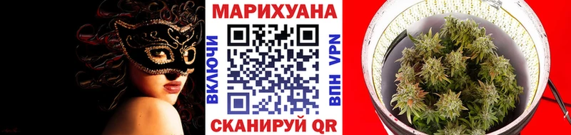 Марихуана план  как найти   Знаменск 